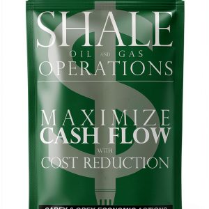 Petroleum Kindle Book by Oilfield Books - 765 Pages-0